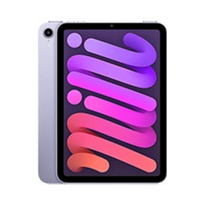 iPad mini