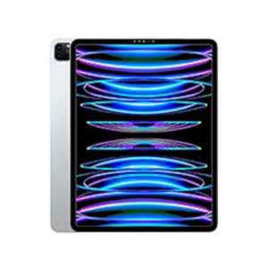 iPad Pro 12.9 (2022)